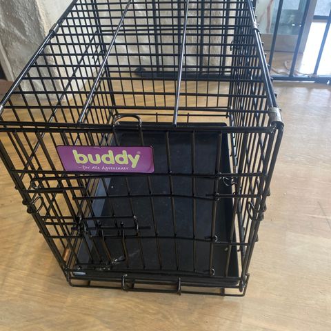 Buddy bur