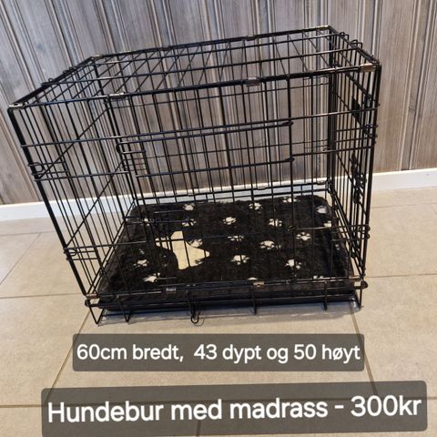 Hundebur