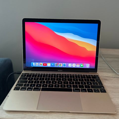 MacBook 12 inch Early 2015 Model