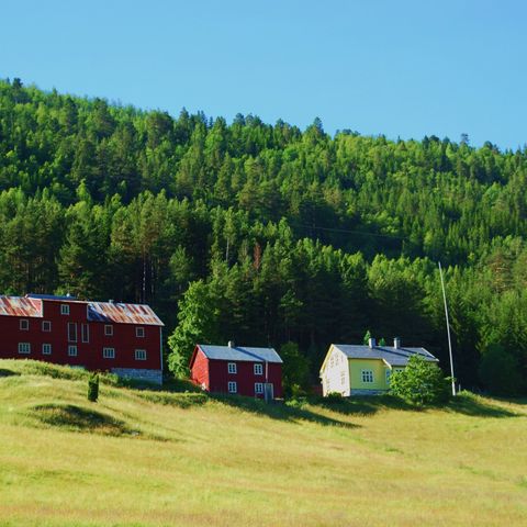 Hjortejakt med overnatting i Ofredal, Årdal kommune