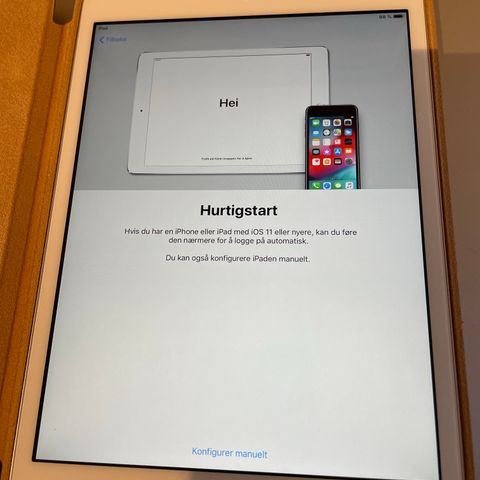 iPad mini