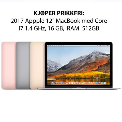 KJØPER FEILFRI: 2017 Apple 12" MacBook