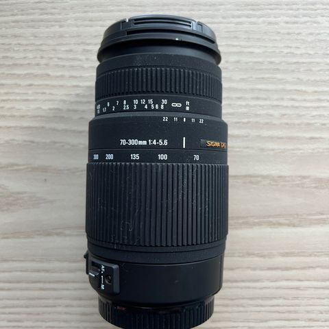 Sigma DG 70-300 1:4-5.6 Canon