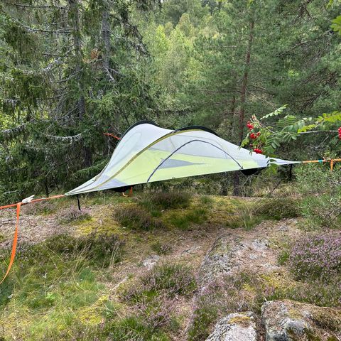 Tentsile Stingray - Tretelt til 3 personer