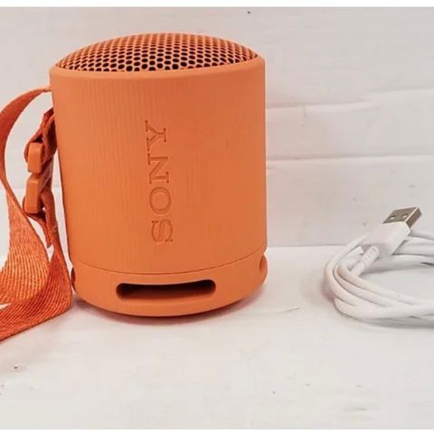 Sony SRS XB100L