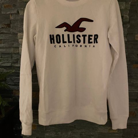 Hollister genser