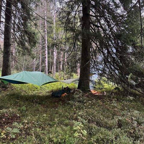 Tentsile una tre-telt (1 person)