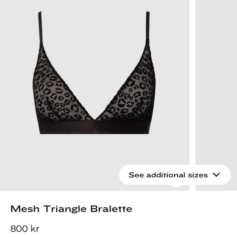 Understatement Mesh Triangle Bralette Black Leopard