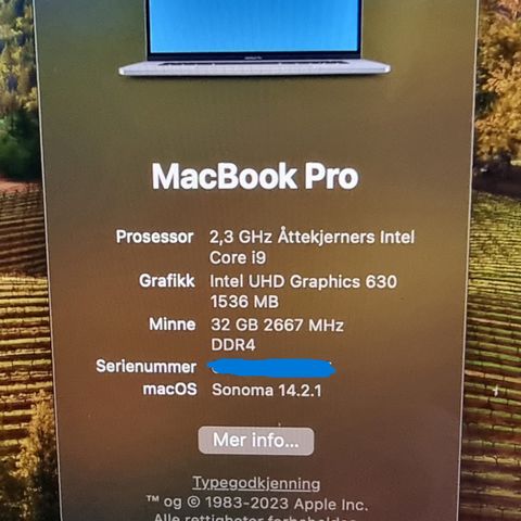 Apple MacBook Pro 16" i9 8-kjerner 32 GB ram 2 TB SSD (2019)