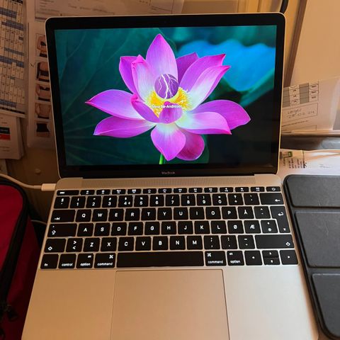 Apple MacBook 12" (Early 2015) 1,1GHZ/8GB/256GB