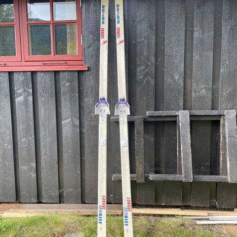 Åsnes Telemark/fjellski