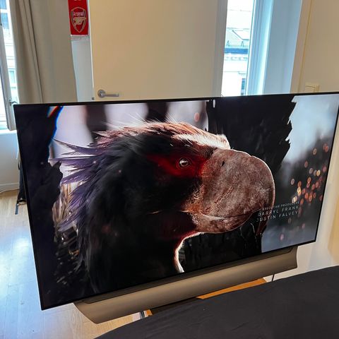 LG OLED 55'' Smart tv