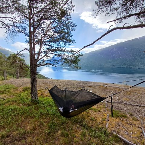 DD Hammock hengekøye