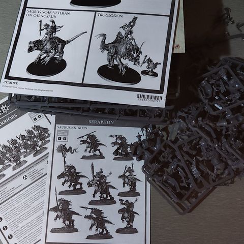 Age of sigmar  en eldre start collecting