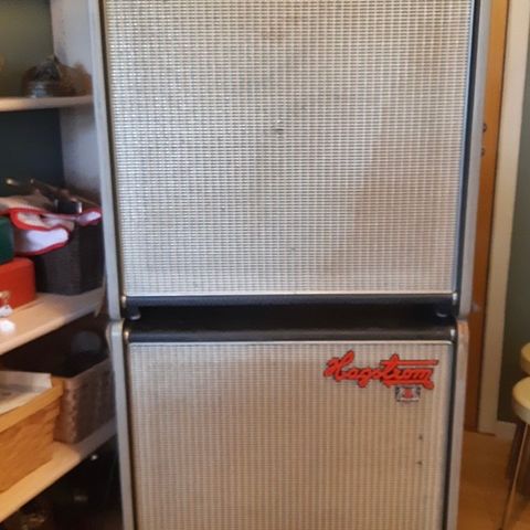 Vintage Hagstrøm 2x12 høytalere