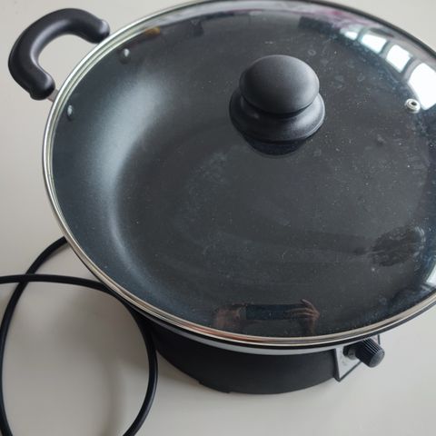 Elektrik wok og fondue set