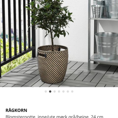 Rågkorn potte ikea 24 cm ny pris.!