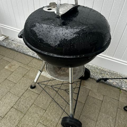 Weber kullgrill