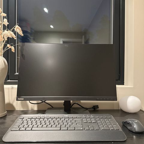 Lenovo ThinkVision T24i-2L 24" skjerm