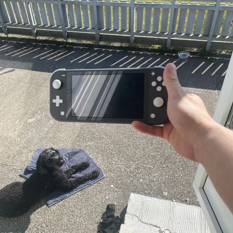 Nintendo Switch Lite