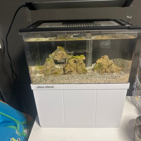 Mini saltvannsakvarium 8L