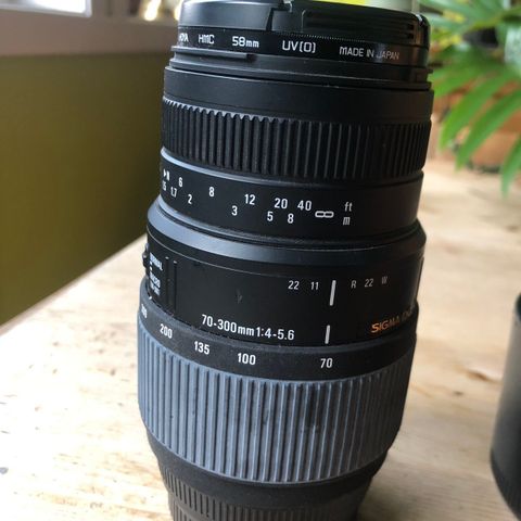 Sigma 70-300 1:4-5.6 (Sony?)