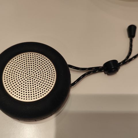 Høyttaler/speaker