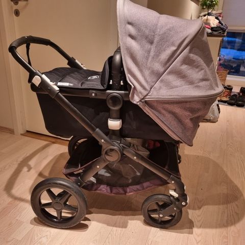 Bugaboo fox - Fornebu