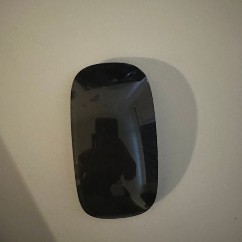 Magic mouse 2