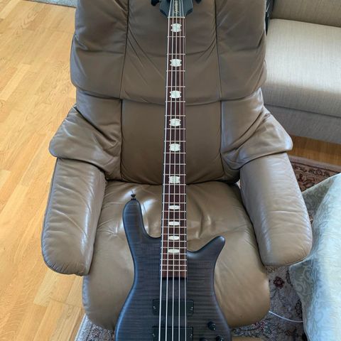 Spector Euro 5 LX - bass gitar