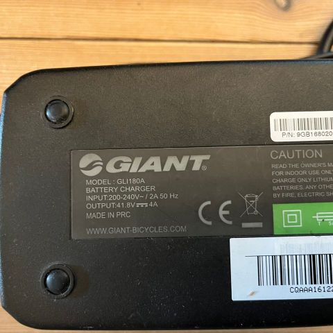 Giant lader - 5 pins