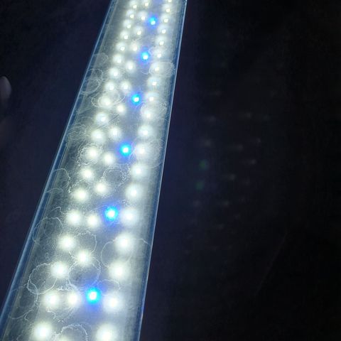 Helialux 600 led armatur