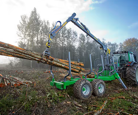 Hogge i skogen? Tømmertransport? Ta kontakt ! Østfold området !