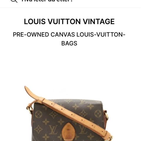 Louis Vuitton St. cloud vintages