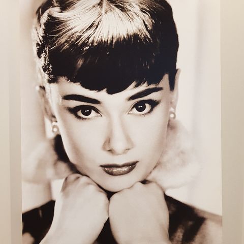 Audrey Hepburn lerretsbilde