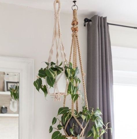 Completely New plant hangers -