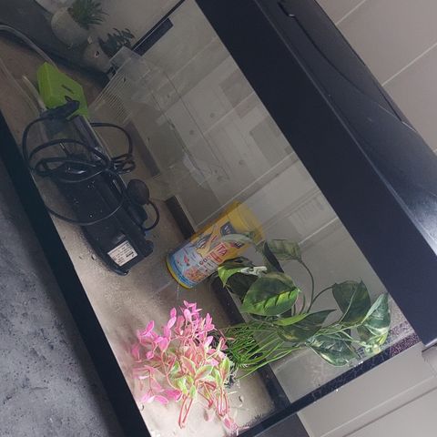 Akvarium