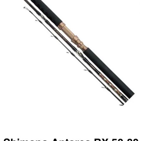 Shimano Antares Boat Braid 50 - 80 lb ønskes kjøpt!