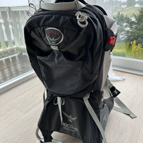 Osprey Poco AG Premium