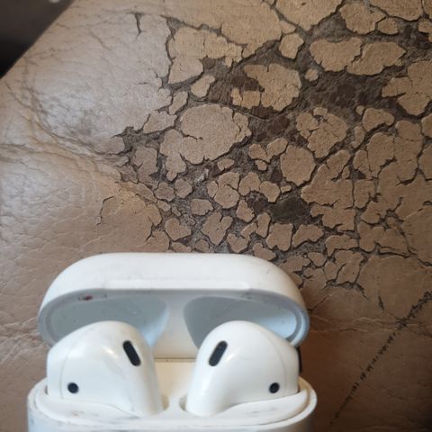 Apple air pods