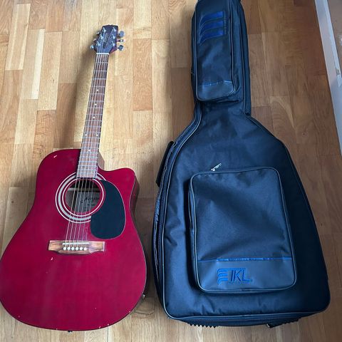 Gitar med bag