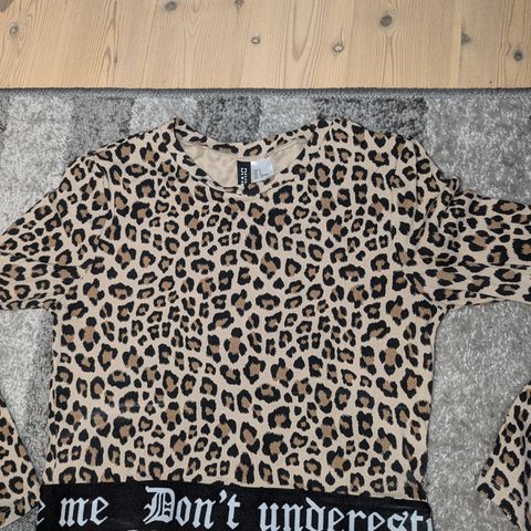 Leopard cropped