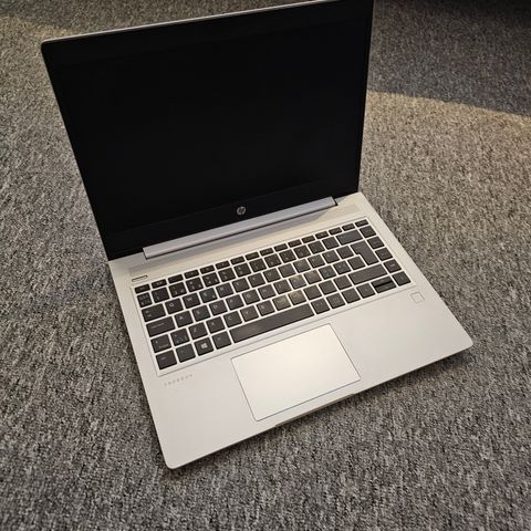 HP Probook 455 g7