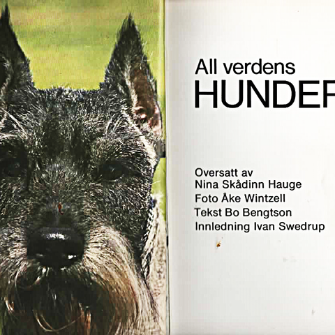 Annonsebilde