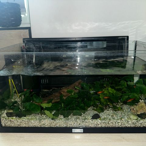 55L Akvarium m/pumpe, fisker, osv