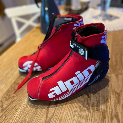 Alpina skisko selges.