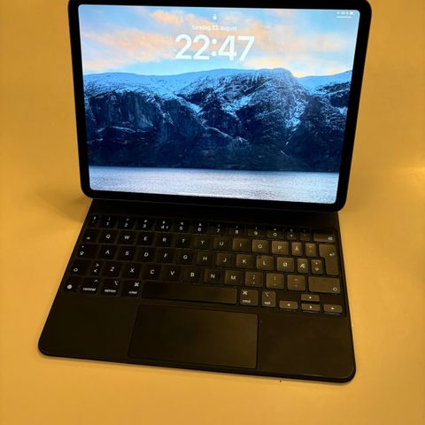 iPad Pro 11 2021 med Magic keyboard og apple pencil 2.gen