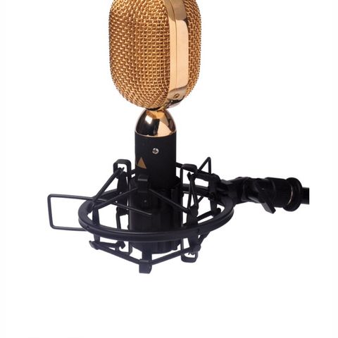 Ribbon RM 15 G microphone