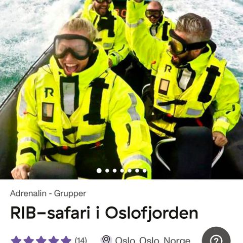 RIB-safari, Oslofjorden