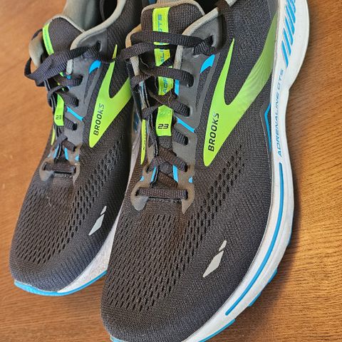 Brooks Adrenaline 23 GTS 46